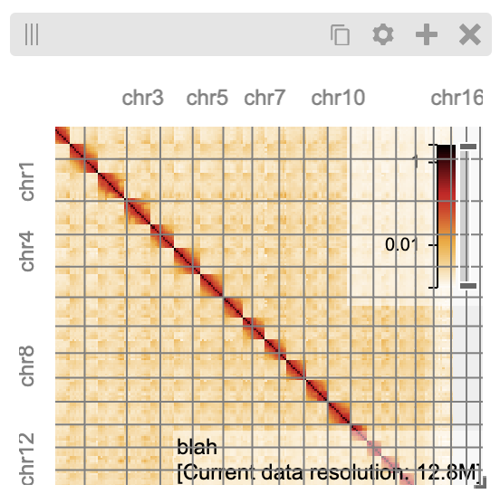 _images/chromsizes-overlay.png